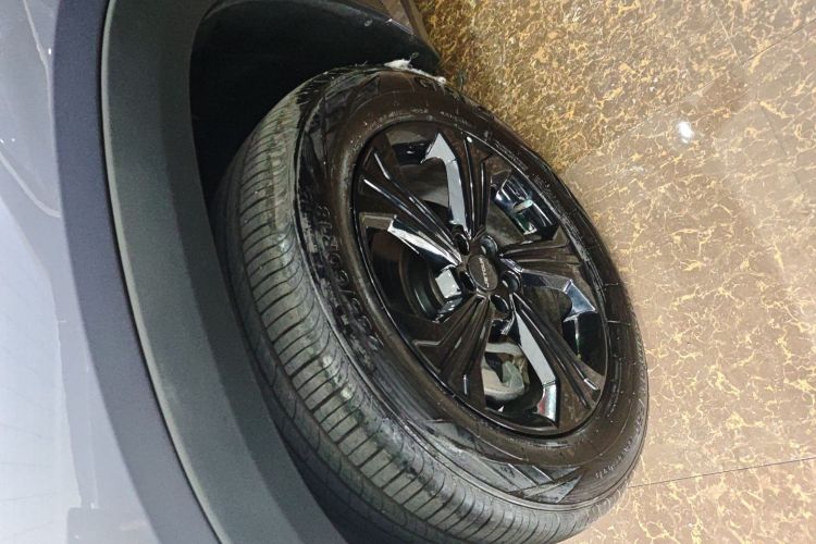 捷途 捷途大圣 2024 汽车图片 #9