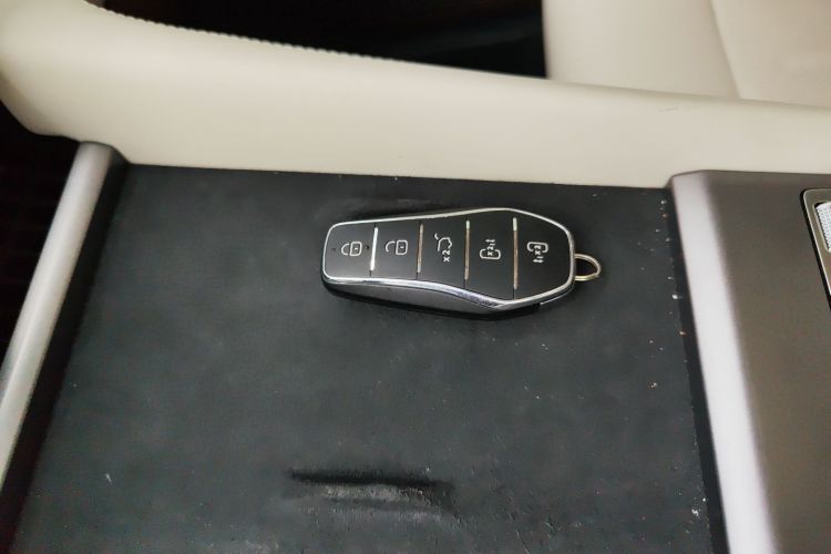 BYD Xia 2024 car image #9