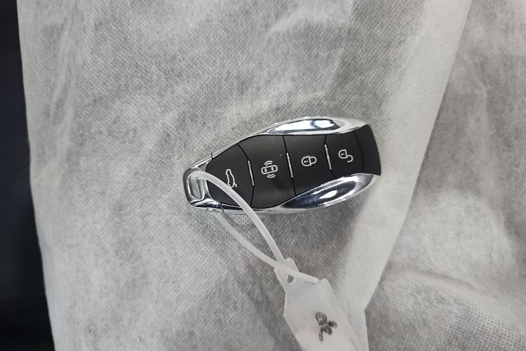 HongQi TianGong 08 2025 car image #9