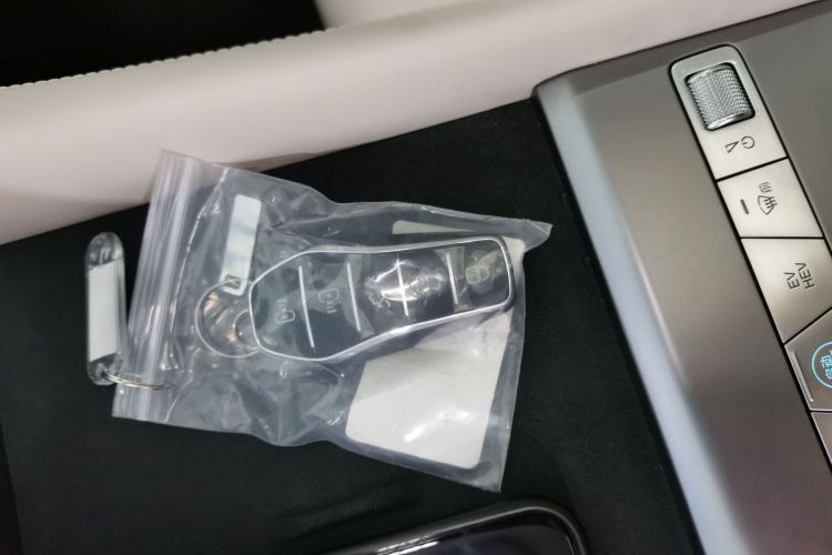 BYD Xia 2025 imagen de coche #9