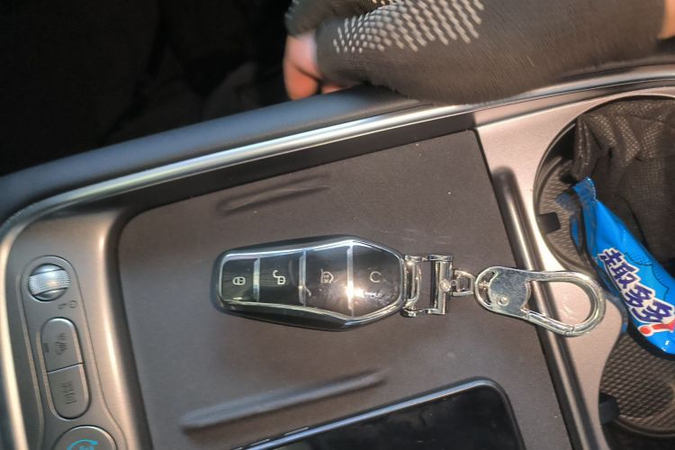 BYD Sea Lion 05 EV 2025 car image #9