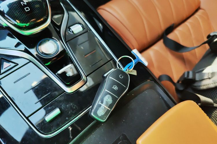 BYD Tang New Energy 2023 car image #9