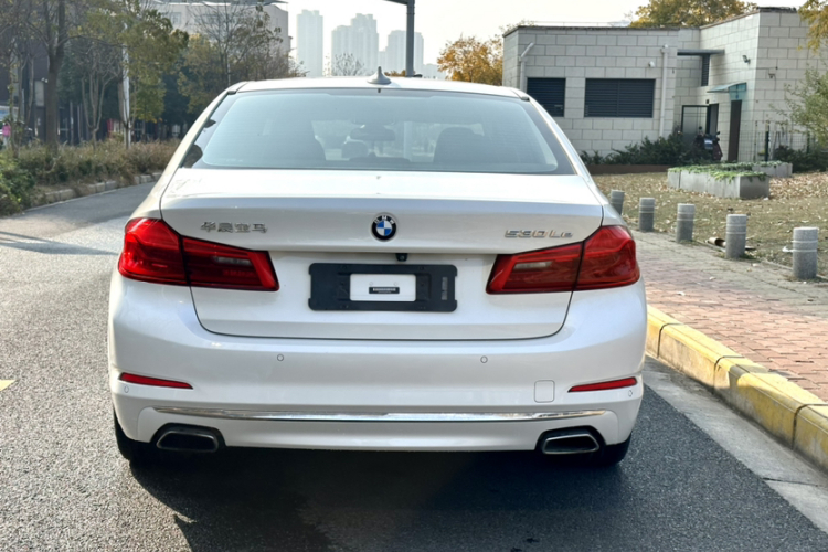BMW 5 Series New Energy 2020 car image #9