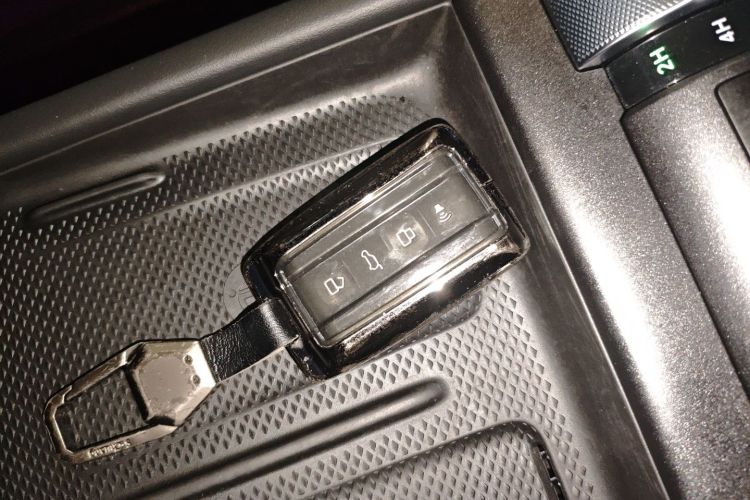 Tank 300 New Energy 2025 car image #9