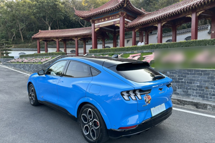 Ford Mustang Mach-E 2022 car image #9