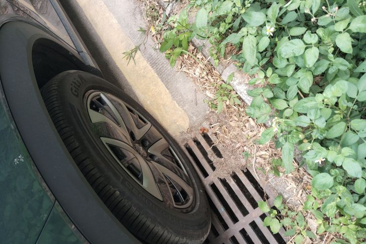 BYD Sea Lion 07 DM-i 2025 car image #9