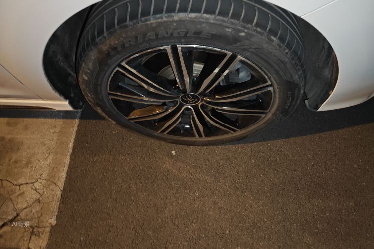 BYD 2019 car image #9