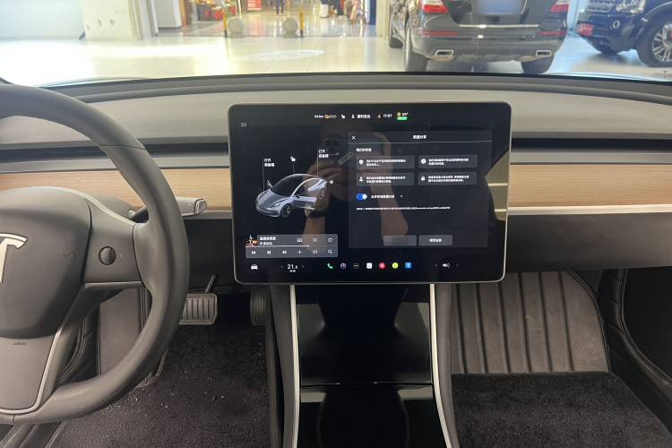 Tesla Model 3 2020 immagine di auto #9