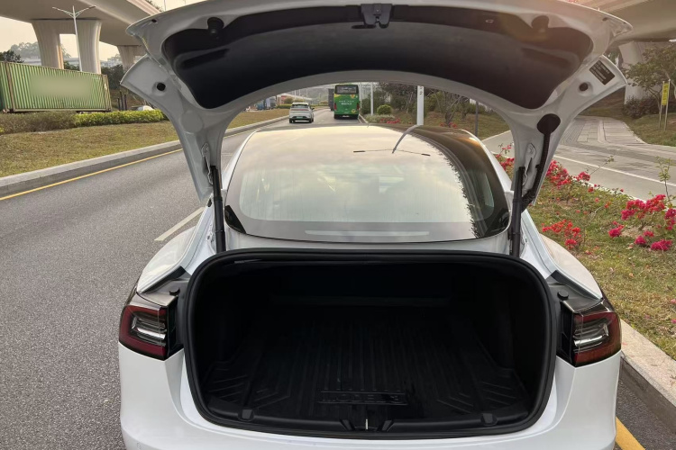 Tesla Model 3 2020 #9 Tesla Model 3 2020 car image #9