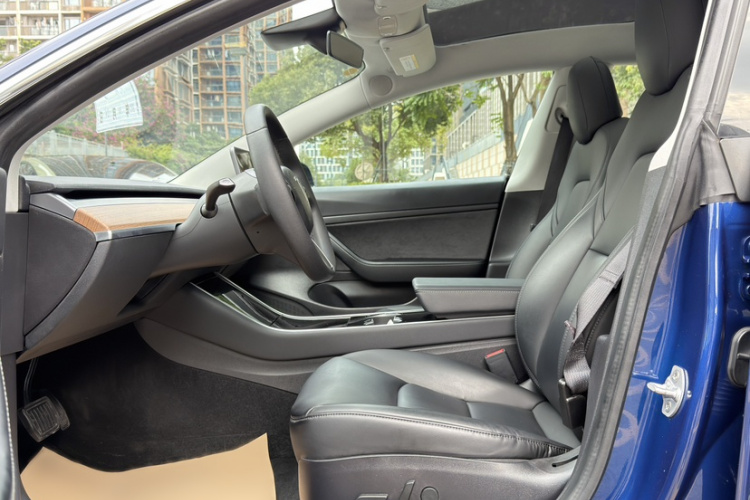 Tesla Model 3 2020 car image #9