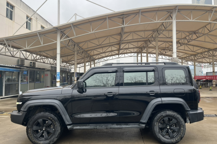 Tank 300 2021 car image #9