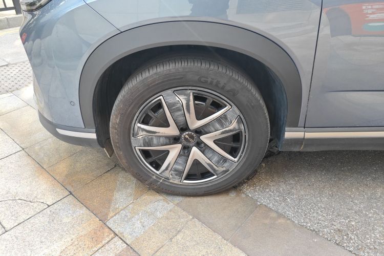 BYD Sea Lion 07 DM-i 2025 car image #9