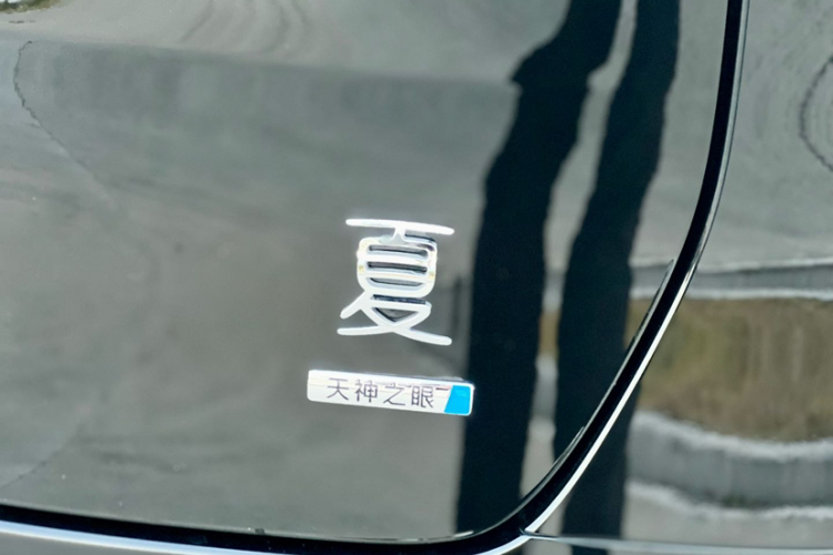 BYD Xia 2025 car image #9