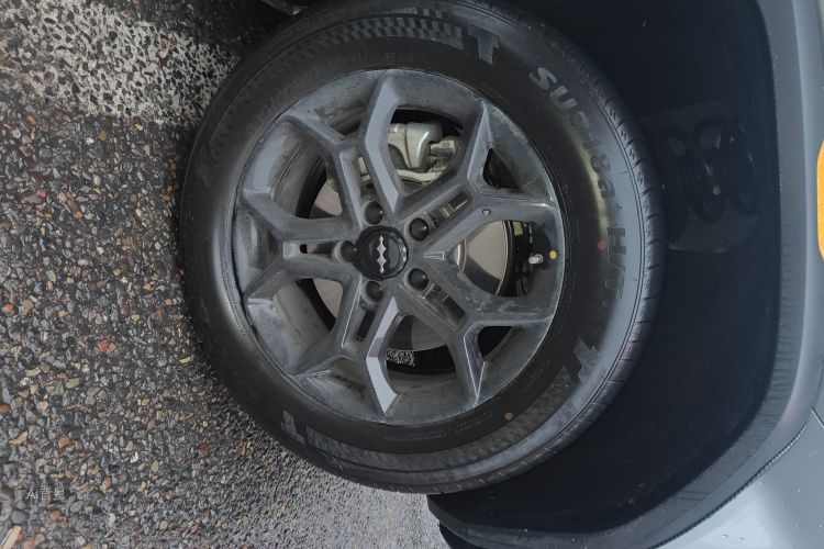 FangChengBao Tiger 3 2025 car image #9