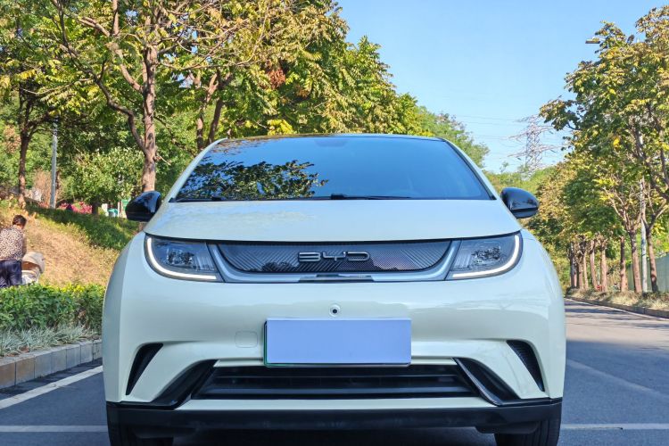 BYD Dolphin 2022 car image #9