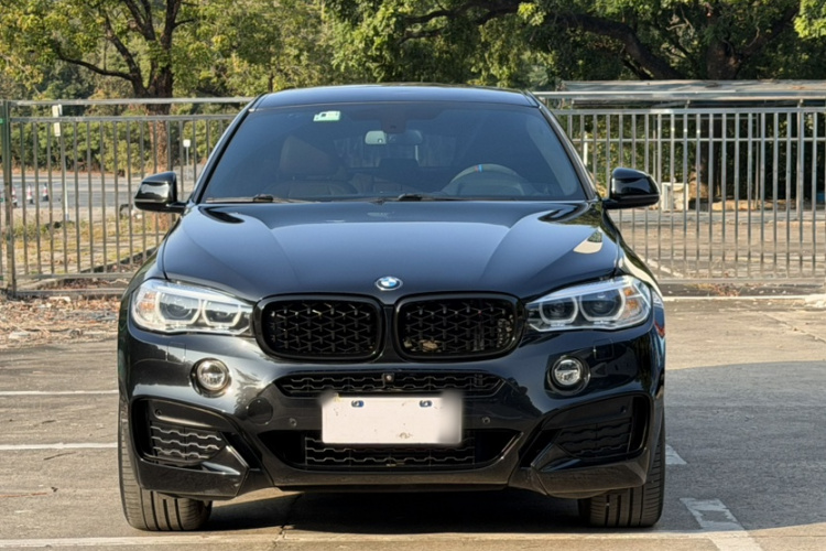 BMW X6 2018 car image #9