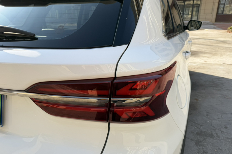 SWM 2020 car image #9
