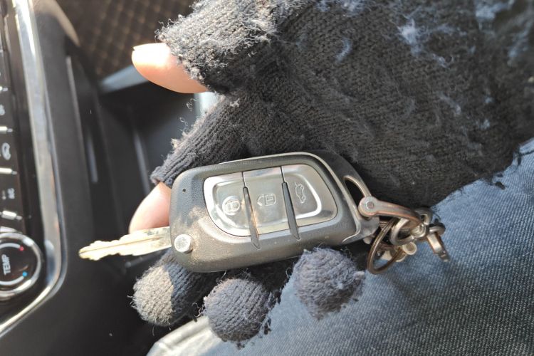 Soueast DX5 2020 imagem de carro #9