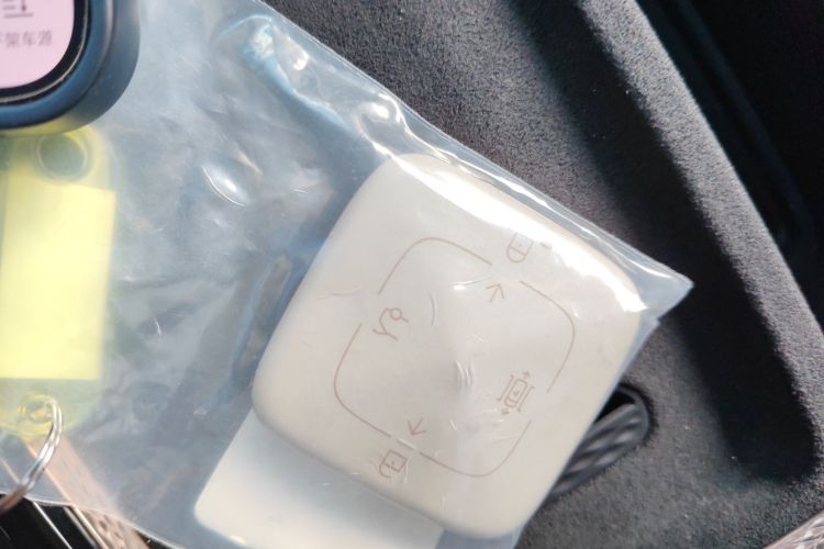 极氪 极氪MIX 2024 汽车图片 #9