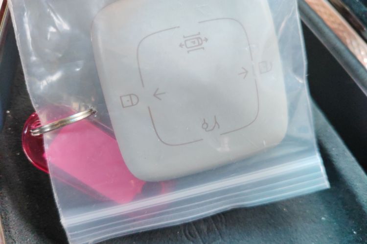 极氪 极氪MIX 2024 汽车图片 #9