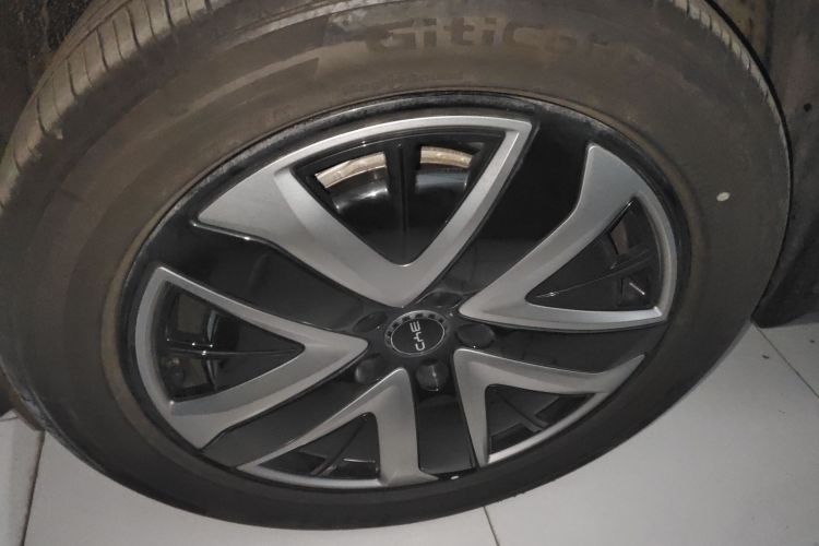 BYD Sea Lion 07 DM-i 2025 car image #9