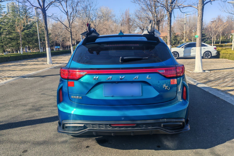 Haval Rabbit 2021 car image #9