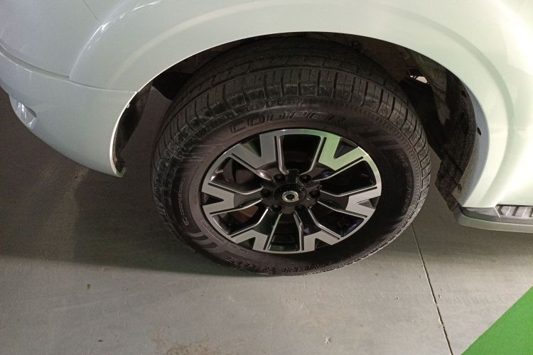 Great Wall Poer 2020 car image #9