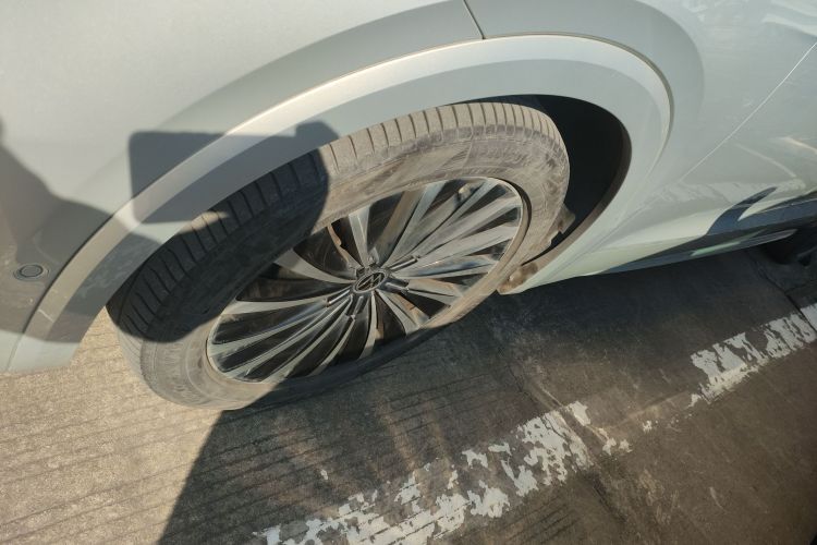 Volkswagen Viloran 2021 car image #9