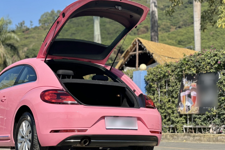 Volkswagen Beetle 2019 #9 Volkswagen Beetle 2019 car image #9