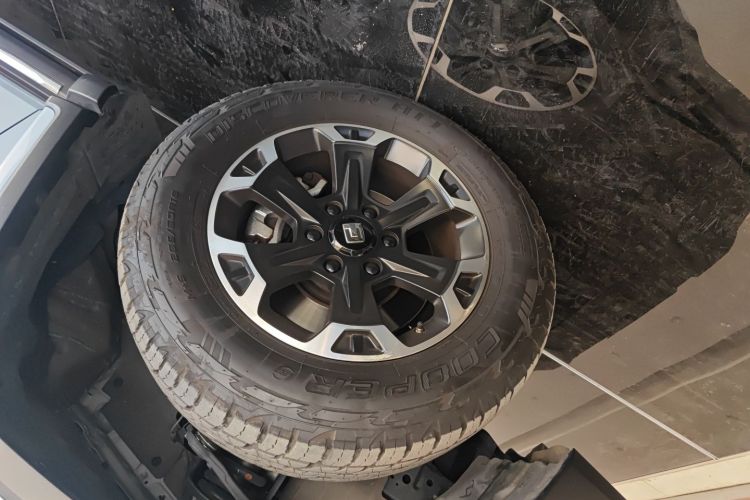 Tank 300 New Energy 2024 car image #9