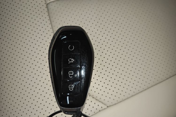 Denza N9 2025 car image #9