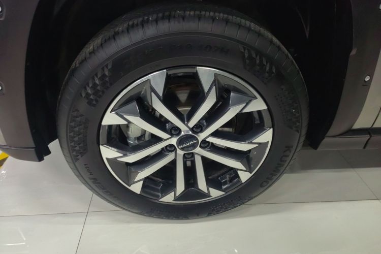 Haval Dargo 2 2023 car image #9