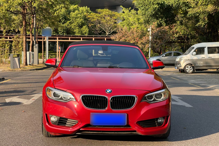BMW 2 Series (Imported) 2016 car image #9