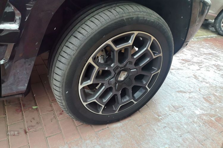 Tank 700 New Energy 2025 #9 Tank 700 New Energy 2025 car image #9