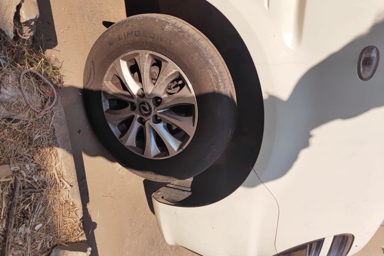 Forthing Lingzhi 2019 immagine di auto #9