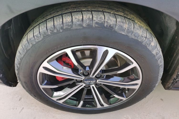 Haval H6S 2023 immagine di auto #9