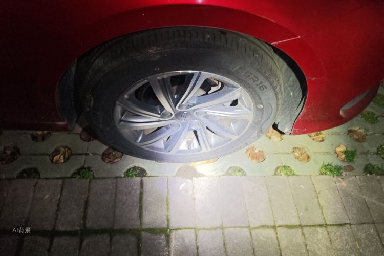 GEELY Binray 2019 imagen de coche #9