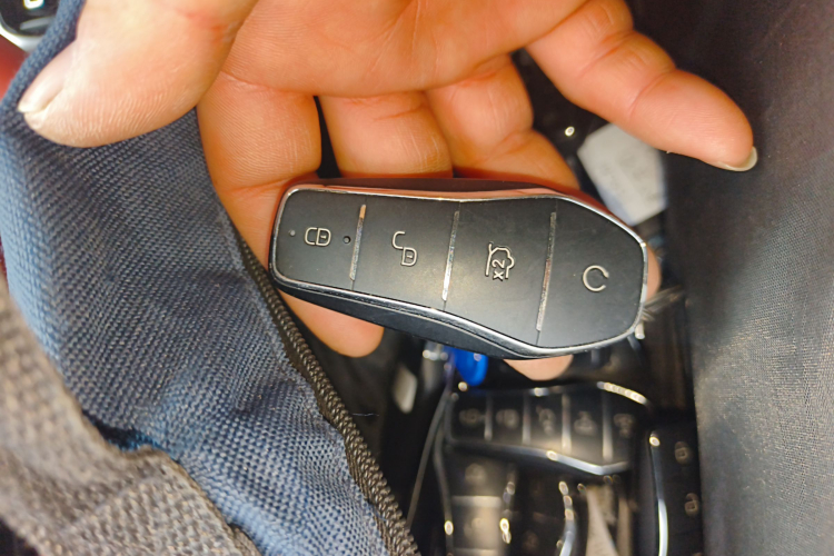 BYD Tang L 2025 #9 BYD Tang L 2025 immagine di auto #9