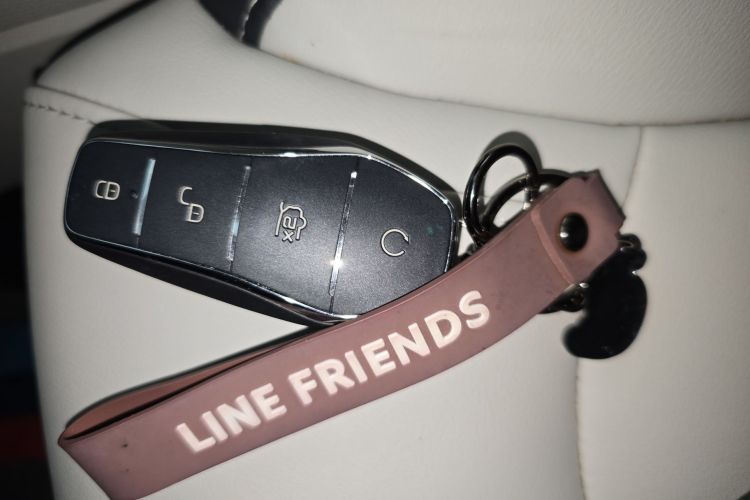 BYD Yuan Pro 2021 car image #9