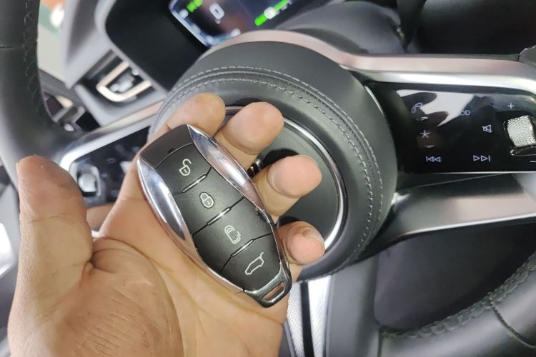 HongQi HQ9 PHEV 2024 car image #9