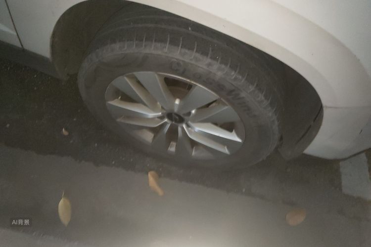 VS5 2019 car image #9