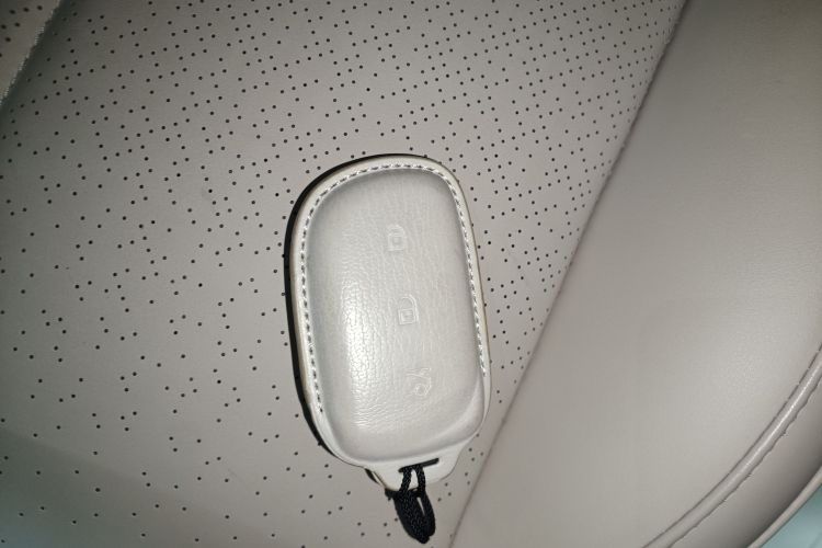 领克 领克Z20 2024 汽车图片 #9