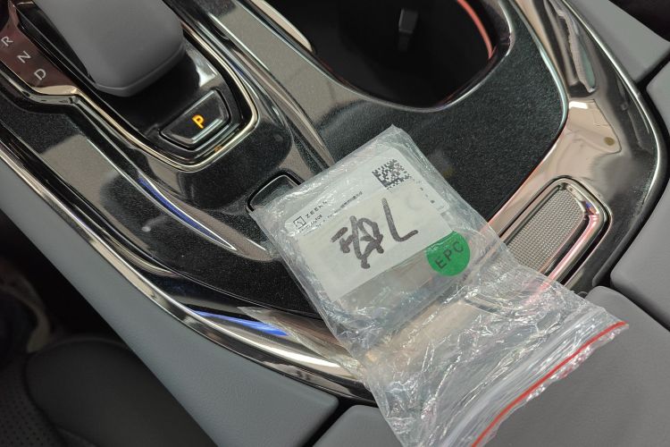 Zeekr 009 2025 car image #9