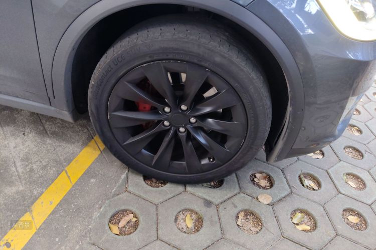 特斯拉 Model X 2019 汽车图片 #9