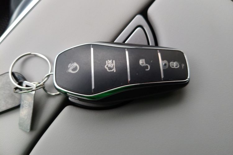 BYD Sea Lion 06 New Energy 2025 car image #9