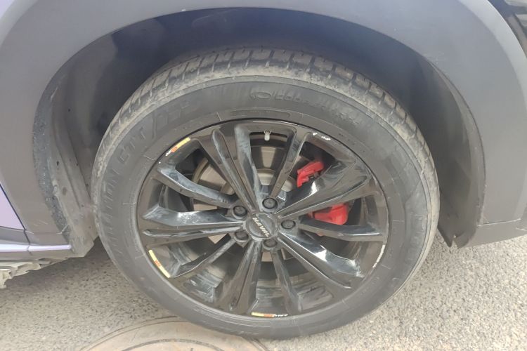 Haval H6S 2022 immagine di auto #9