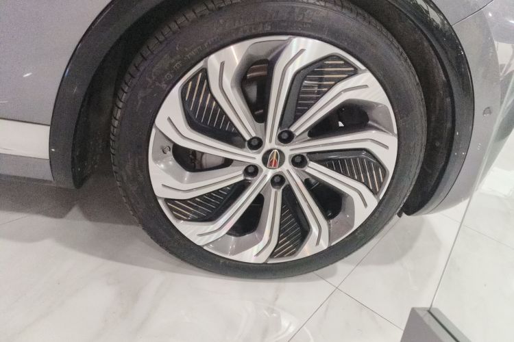 HongQi E-HS9 2023 car image #9