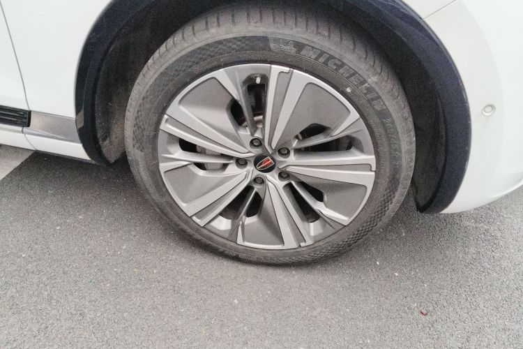 HongQi E-HS9 2023 imagem de carro #9