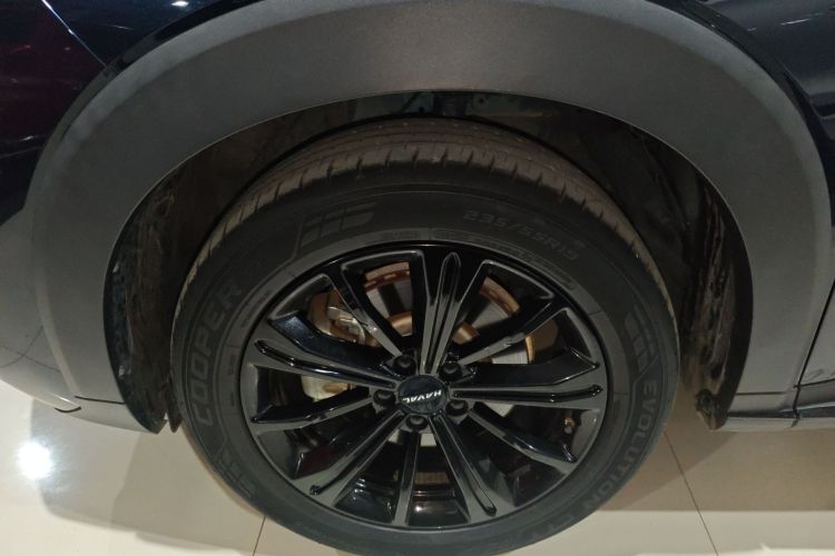 Haval H6S 2022 immagine di auto #9