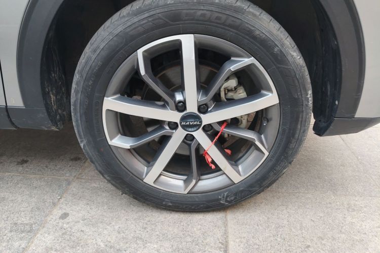 Haval F7 2021 car image #9